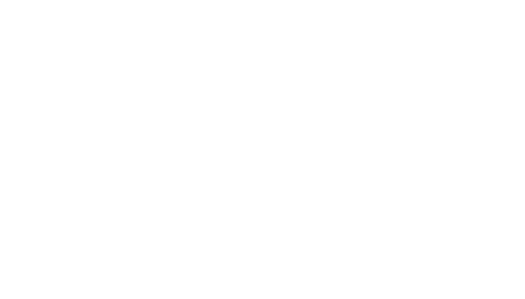 Solumex
